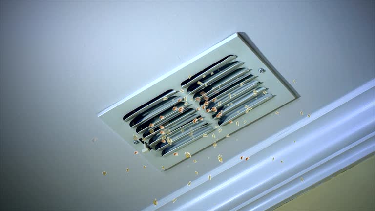 Best Affordable HVAC Duct Cleaning  in Mount Vernon, AL