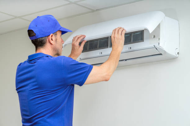 Best Home Air Vent Cleaning  in Mount Vernon, AL